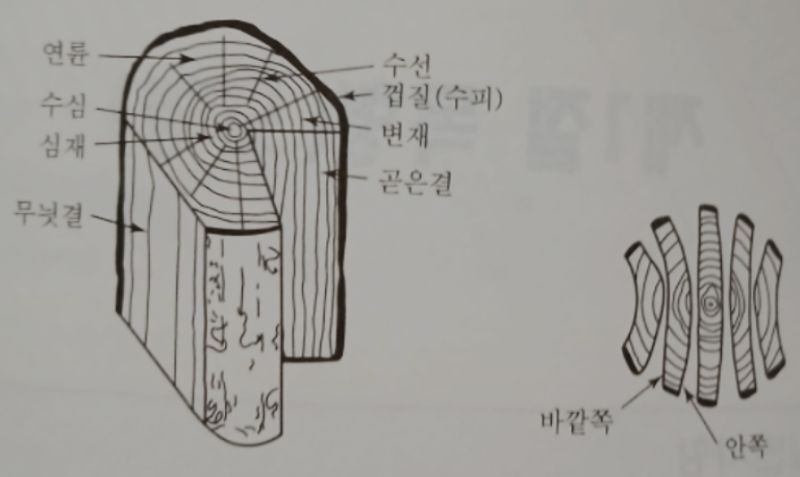 목형 목재